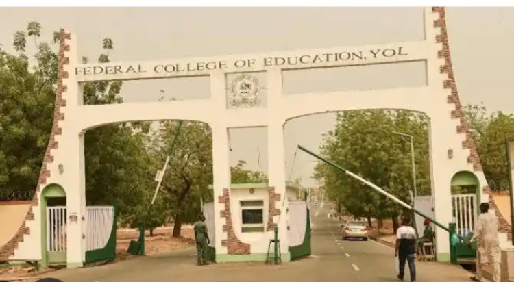 Federal College of Education Yola Introduces Single Major Programs in Adult and Non-Formal Education