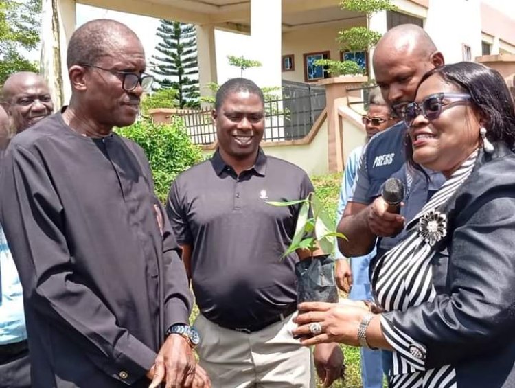 Planting of Trees Will Help Preserve the Environment - UNIDEL VC, Prof Chiemeke