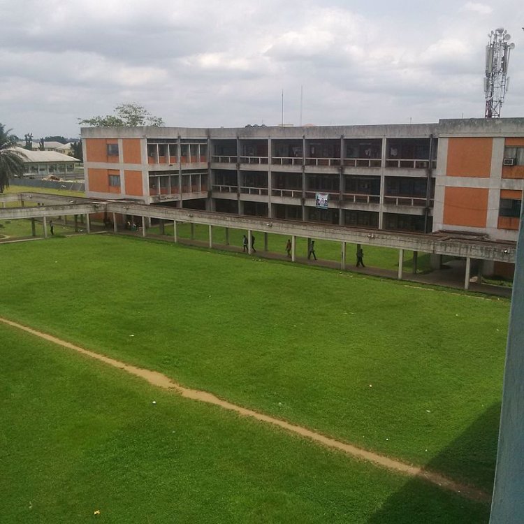 Rivers State University’s Journey from Science and Technology College to Leading University