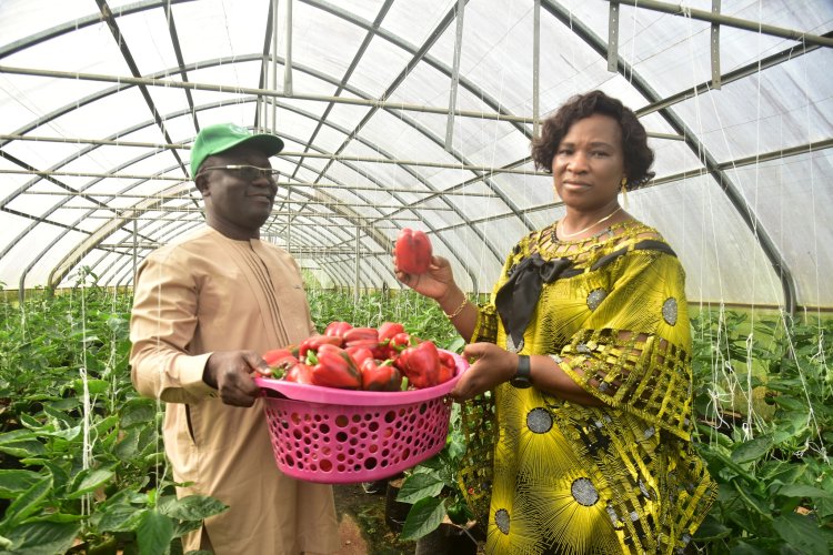 FUTA Set to Train Farmers on Greenhouse Cultivation of High-Yield Bell Peppers