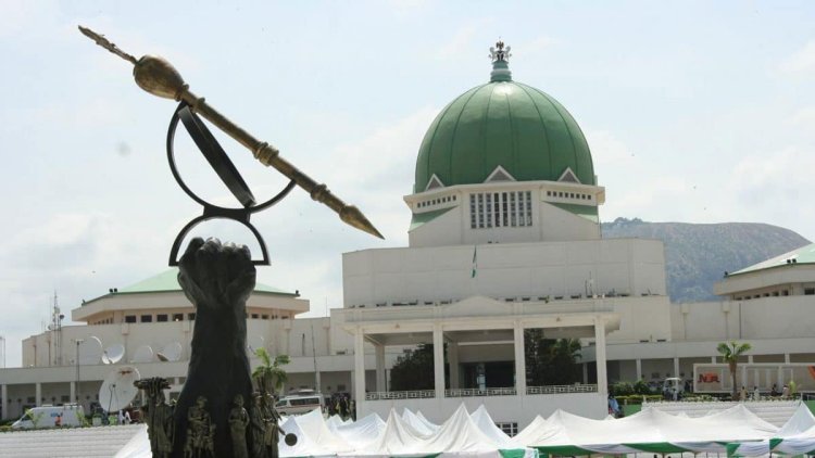 NASS Members Demand Bribes During University Oversight Visits, Says IBBU Deputy VC