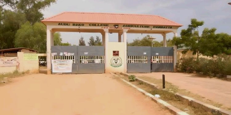 Audu Bako College Announces Admission for Diploma and Certificate Programs for 2024 and 2025 Academic Session