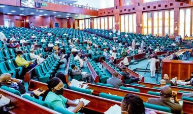 Reps Pass Tertiary Institutions Sexual Harassment Bill, Propose 14-Year Jail Term for Offenders