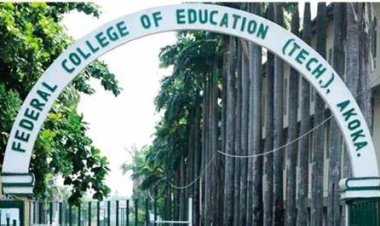 Returning Students of FCE-T, Lagos Still Fume Over Levy, Unresolved Issues, 2 Months After Closure