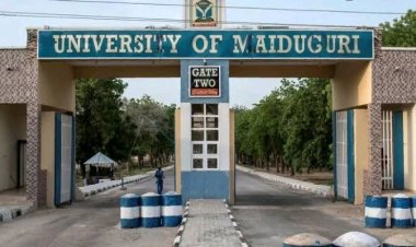 University of Maiduguri Releases 2024/2025 Admission List