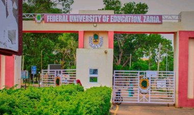 Federal University of Education, Zaria, Requests Online Application Print-Outs from Kaduna State Scholarship Applicants