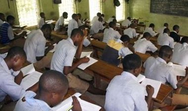 40% of 2024 NECO Candidates May Miss University Admission Over Failed Core Subjects – NSSEC