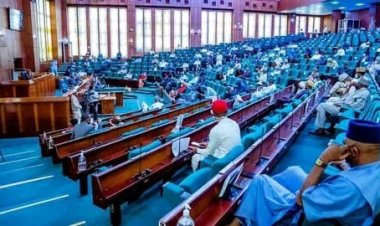 Reps Urge Universities to Prevent Delays in Students' Research as ABU Lecturer Dies from Depression Over Prolonged PhD Programme