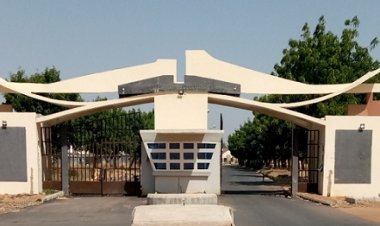 Federal Polytechnic Damaturu Announces Admission Screening for 2024/2025 Academic Session