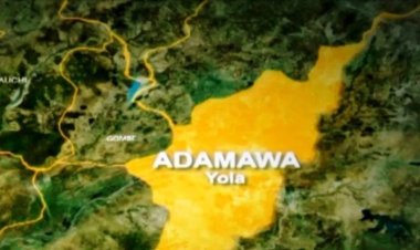 Adamawa State Scholarship Trust Fund Invites Applications for China Special Scholarship