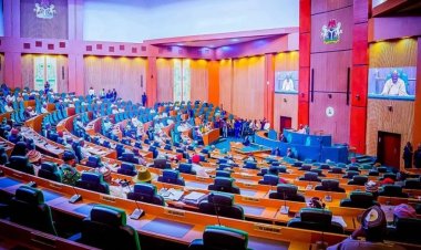 Reps Grill Federal Polytechnics Over Financial Mismanagement and Unfinished Projects