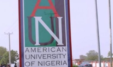 American University of Nigeria Marks 20th Anniversary with Prestigious Recognition