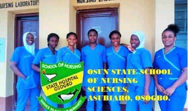 Osun College of Nursing Sciences Begins Admission for 2024/2025 Session