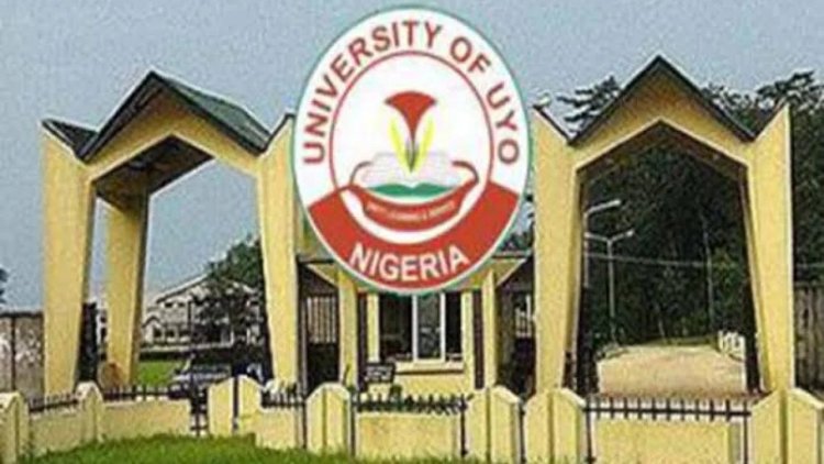 UNIUYO Graduates 174 First-Class Students Among 12,450 at 2024 Convocation