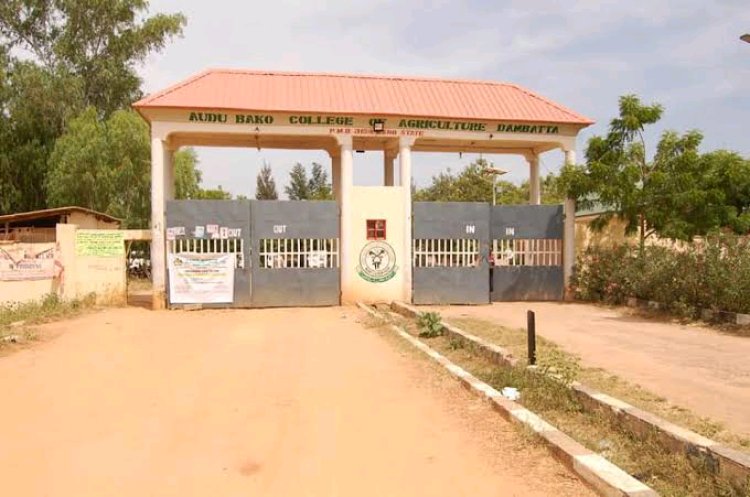 Audu Bako College of Agriculture Opens Admission for 2024/2025 Certificate Courses