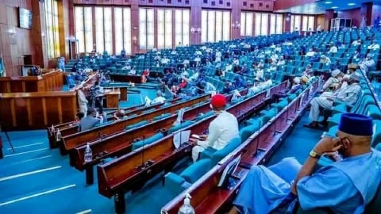 Reps Urge Universities to Prevent Delays in Students' Research as ABU Lecturer Dies from Depression Over Prolonged PhD Programme