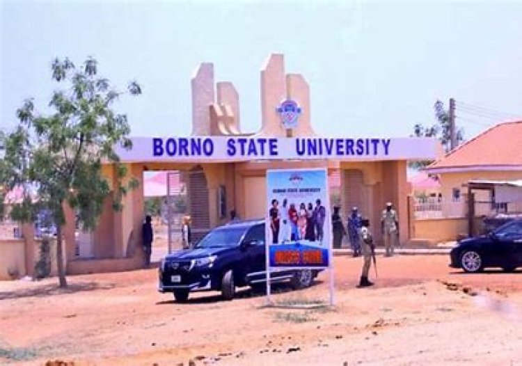 Borno State University Inaugural Social Week Kicks Off Amidst Excitement