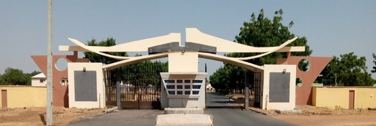 Federal Polytechnic Damaturu Announces Admission Screening for 2024/2025 Academic Session