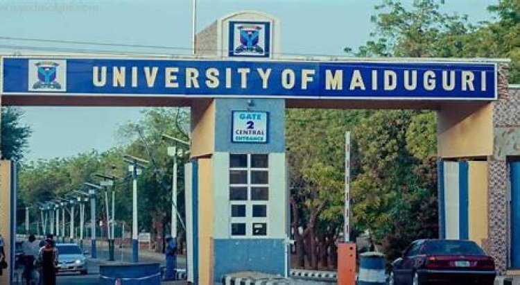 UNIMAID Students Demand Improved Network Connectivity and Wi-Fi Facilities