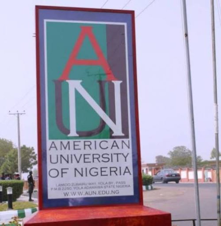 American University of Nigeria Marks 20th Anniversary with Prestigious Recognition