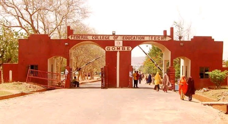 Federal College of Education (Tech), Gombe Releases 1st Batch Admission List for 2024/2025 Session