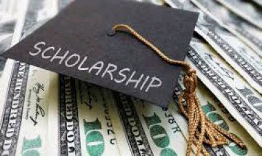 Federal Ministry of Education Opens 2025/2026 Scholarship Application