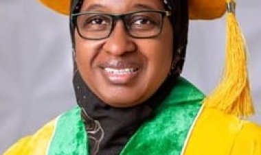 NSUK VC Prof Liman Commends Gov. Sule for Prioritizing Education in 2025 Budget