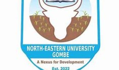 North Eastern University Gombe Opens Applications for 2024/2025 Academic Session Stream II