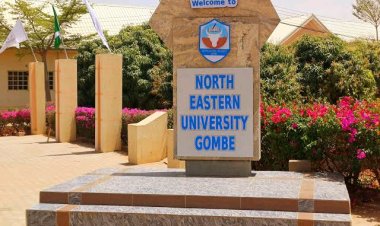 North-Eastern University Opens Stream II Post UTME Applications