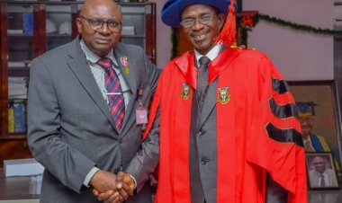 University of Ibadan (UI) Professor Calls for Robust Regulation to Enhance Healthcare Access