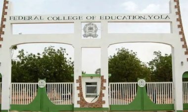 Federal College of Education, Yola, Advertises Multiple Job Vacancies