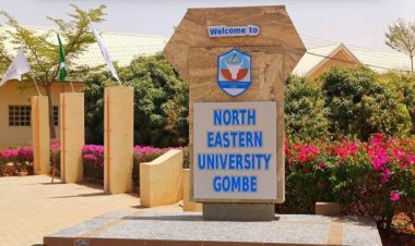North-Eastern University Releases Schedule of Fees for 2025/2026 Academic Session