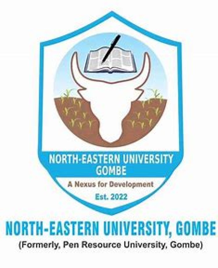 North Eastern University Gombe Opens Applications for 2024/2025 Academic Session Stream II