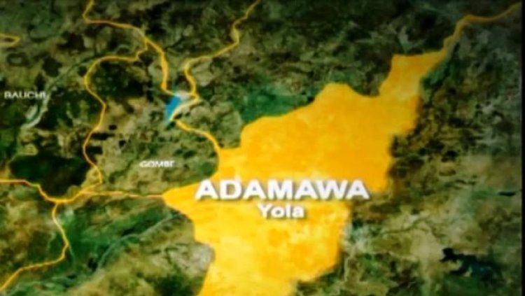 Adamawa State Scholarship Trust Fund Begins Screening for Indigenous Students in Tertiary Institutions