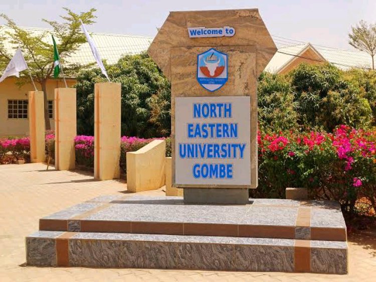 North-Eastern University Opens Stream II Post UTME Applications