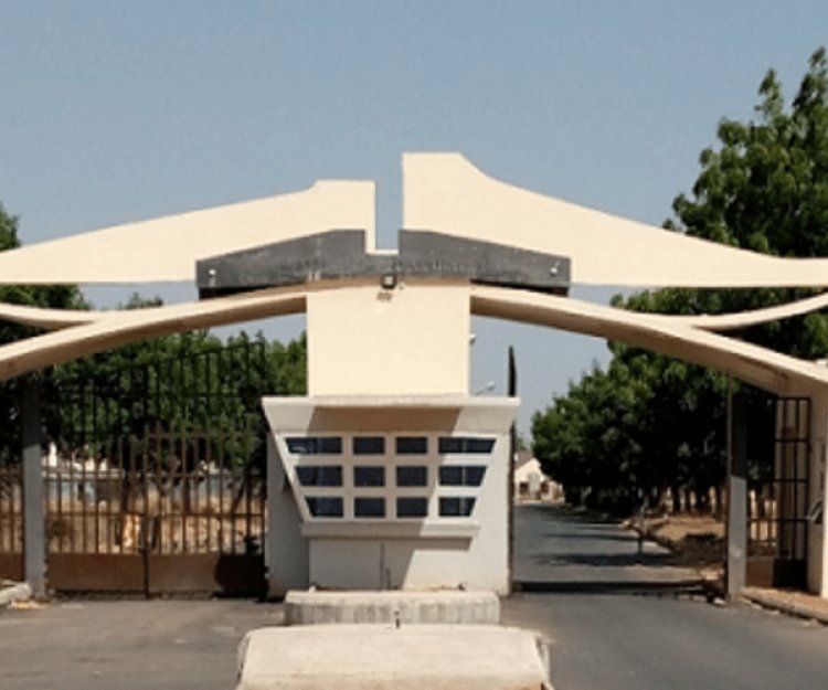 Federal Polytechnic Damaturu Relocates School of Management Studies to New Complex