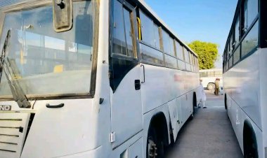 Kwankwasiyya Gida Gida Launches Mass Transit Buses for Tertiary Students