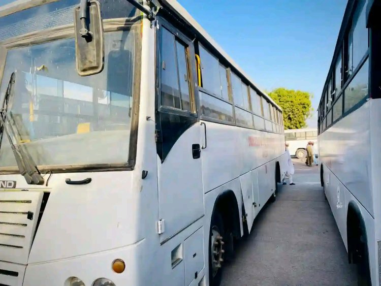 Kwankwasiyya Gida Gida Launches Mass Transit Buses for Tertiary Students