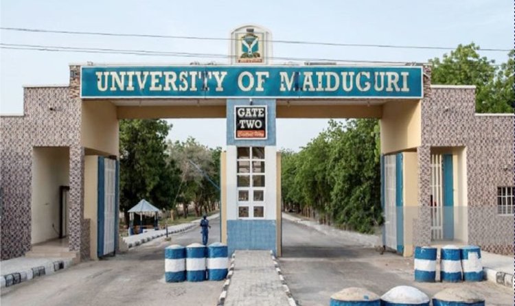 UNIMAID Introduces Innovative Online Result Checking System