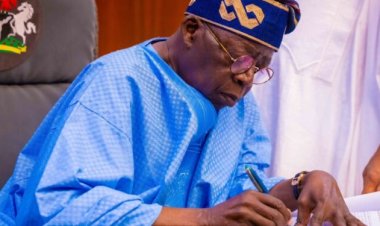 Tinubu Rejects Adamawa University Bill Over Legal and Typographical Errors