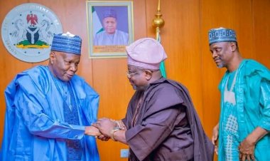 Gombe State Governor Hails FG for Approving Degree Programs at FCE (T) Gombe