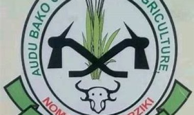 Audu Bako College of Education Secures NBTE Accreditation for 12 Programmes