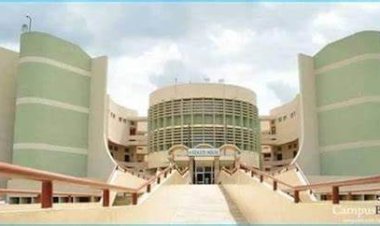 Federal University of Transportation Daura Announces Recruitment for Senior Academic Positions