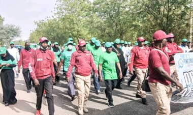 University of Maiduguri Launches Drug-Free World Club