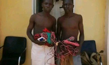 Adamawa State Polytechnic Cracks Down on Serial Cable Thieves