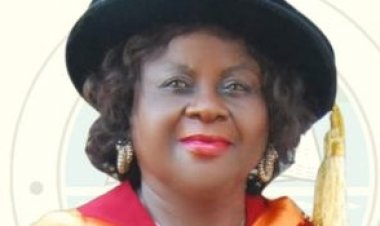 Professor Chinwe Nwanna to Deliver 8th Inaugural Lecture at UNILAG
