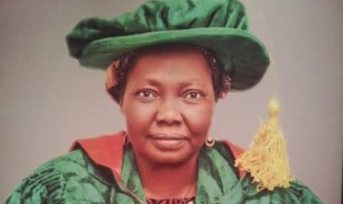 Gombe State University Honors Professor Mary Erasmus Sulai as Best Female Professor
