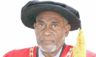 Bayero University Kano Honors Professor Musa Muhammad Borodo with Emeritus Professorship