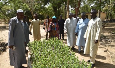 Ahmadu Bello University Partners with UNICEF on Tree Planting, Waste Recycling Initiative