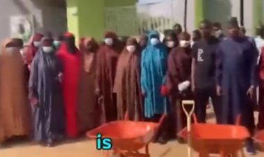 Al-Istiqama University Students Lead Sanitation Exercise in Sumaila Town